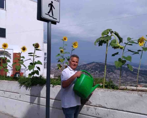 Linea Gialla Pisticci11