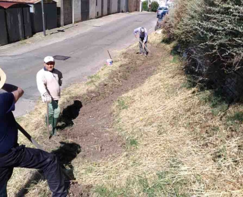 Linea Gialla Pisticci2