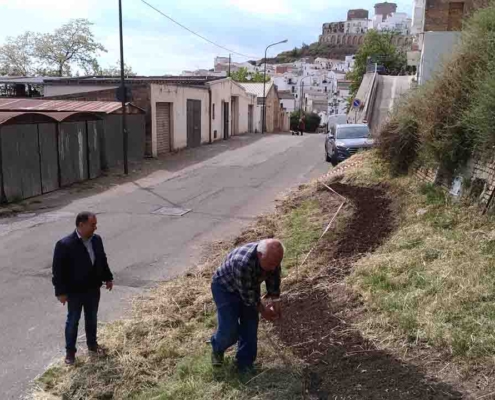 Linea Gialla Pisticci5