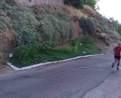 Linea Gialla Pisticci9