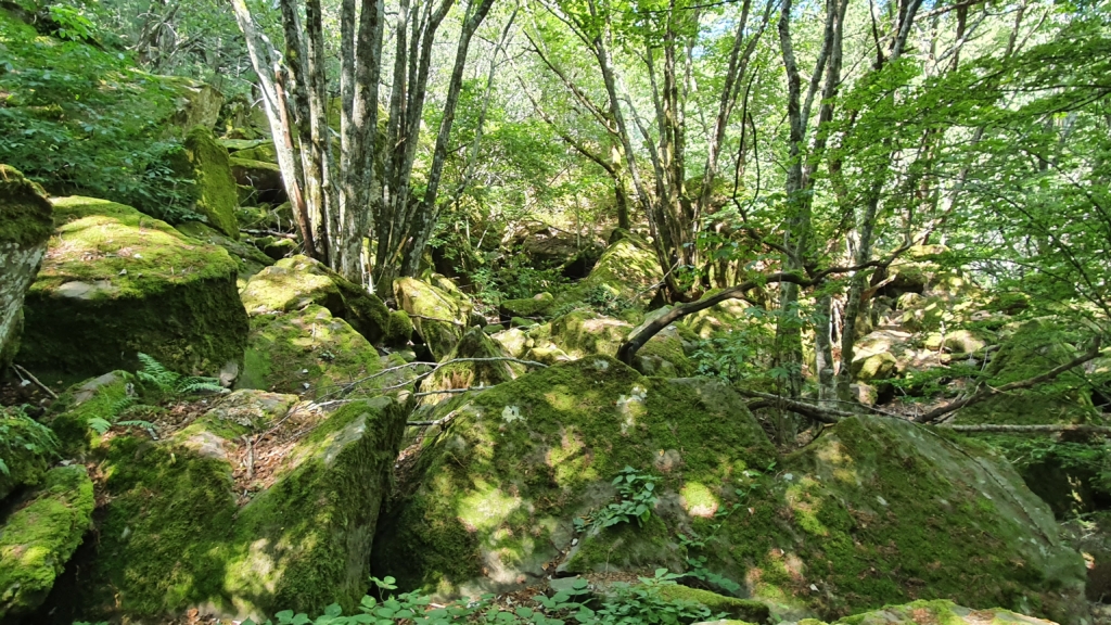 Grotta4
