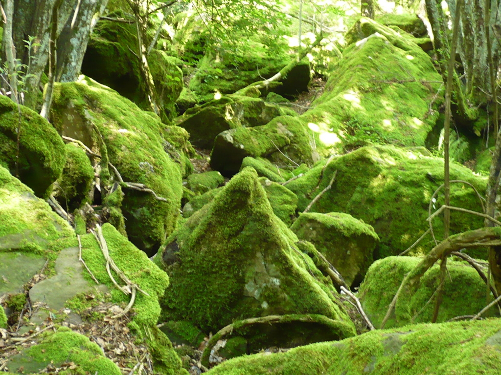 Grotta6